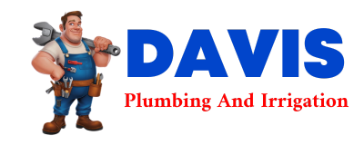 Trusted plumber in DAVIDSON